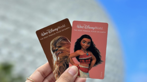 Tipos de ingressos da Disney